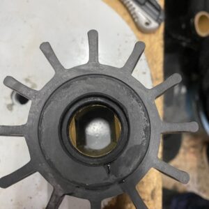 tekne ve sanayi tipi devir daim lastiği / İmpeller (16 farklı model)